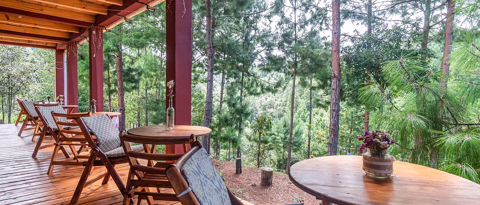 The deck, tables and chairs looking out over the pines