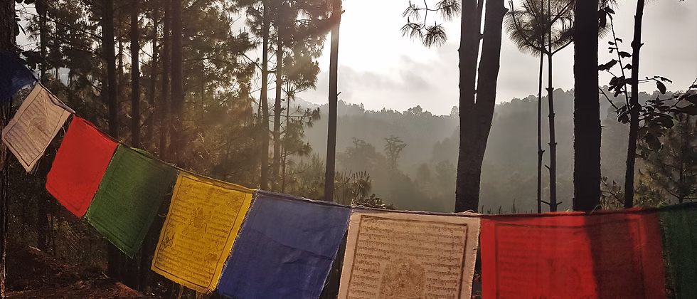 Prayer flags strung between pines at sunrise, mist over the mountains