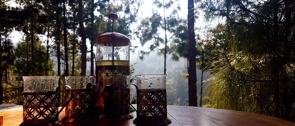 Tea service on a table overlooking misty pine forest