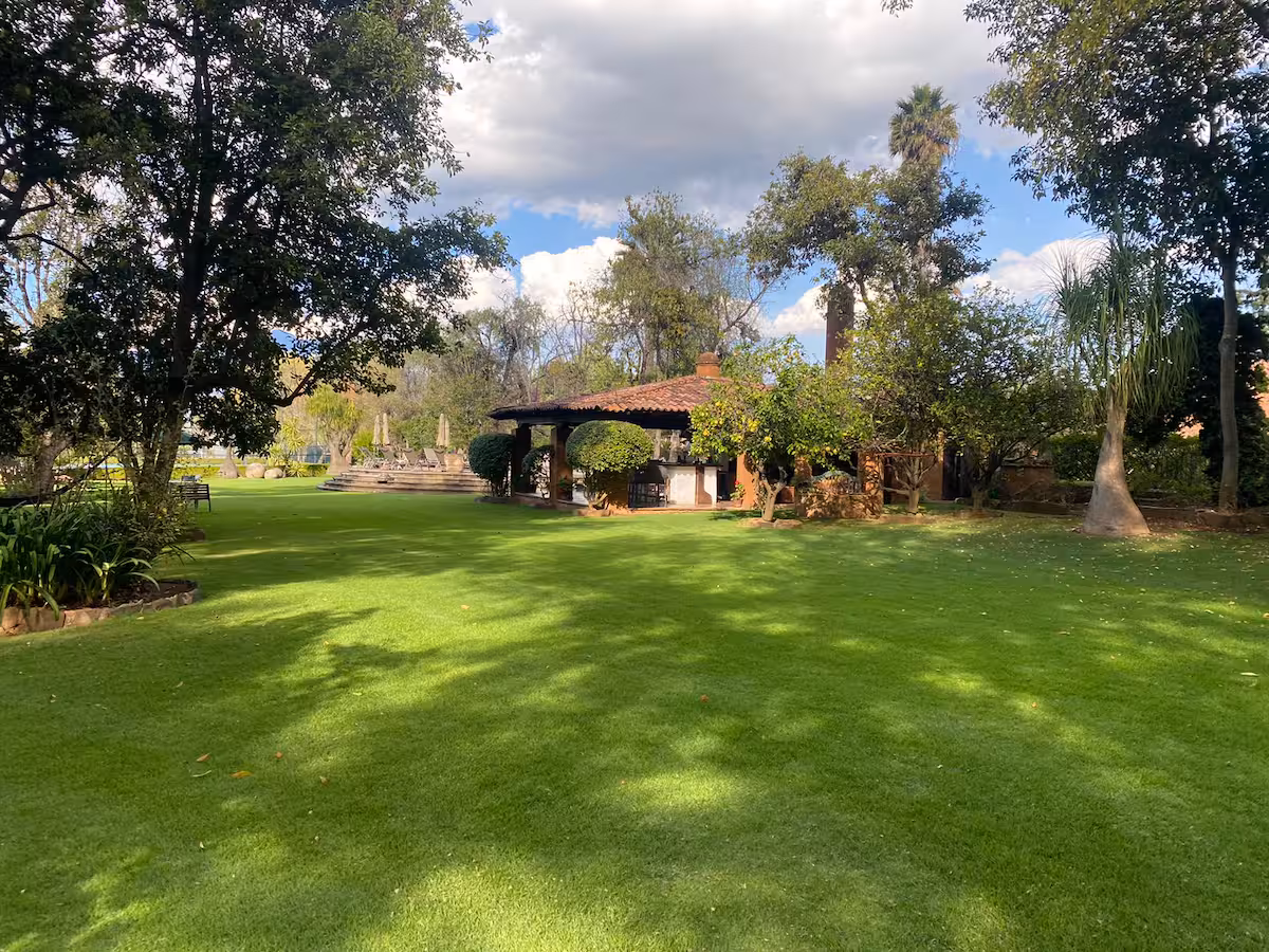 Garden of the Tzintzuntzan home